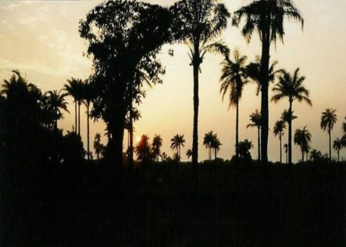Gambia Foto 2